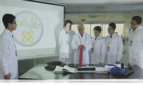 天津茄子影院成人污版電纜國內國標電線品牌